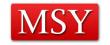 logo - MSY Technology