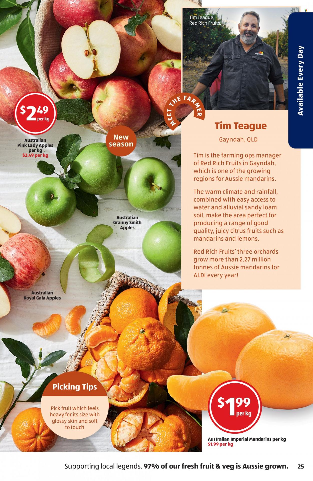 ALDI Catalogue - 19 May 2022 - 25 May 2022 - Sales products - Gala apple, mandarines, apples, lemons, Granny Smith apple, Pink Lady apples. Page 25.