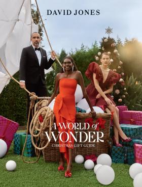 David Jones - A World Of Wonder Christmas Gift Guide