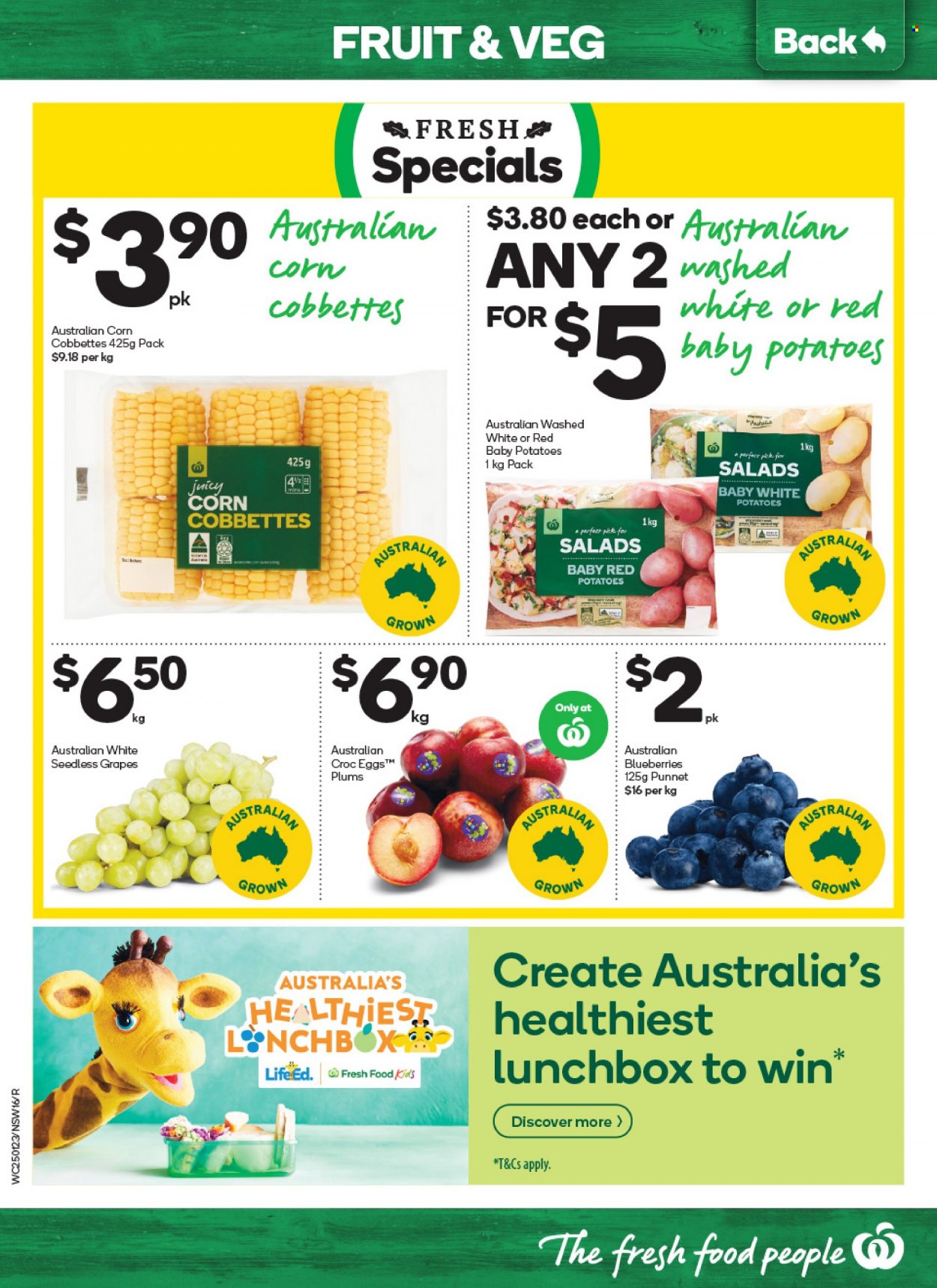Woolworths catalogue  - 25.1.2023 - 31.1.2023. Page 16.