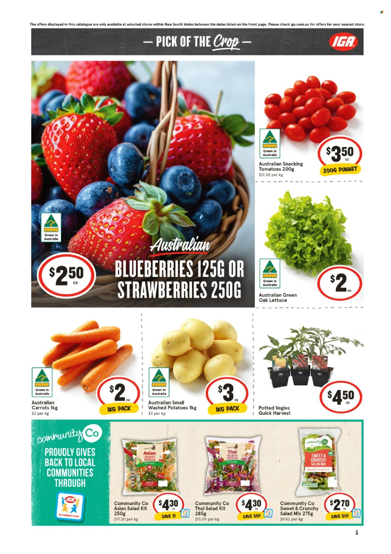 IGA catalogue - 25 Sep 2024 - 1 Oct 2024. Page 6