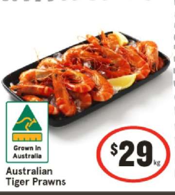 Australian Tiger Prawns