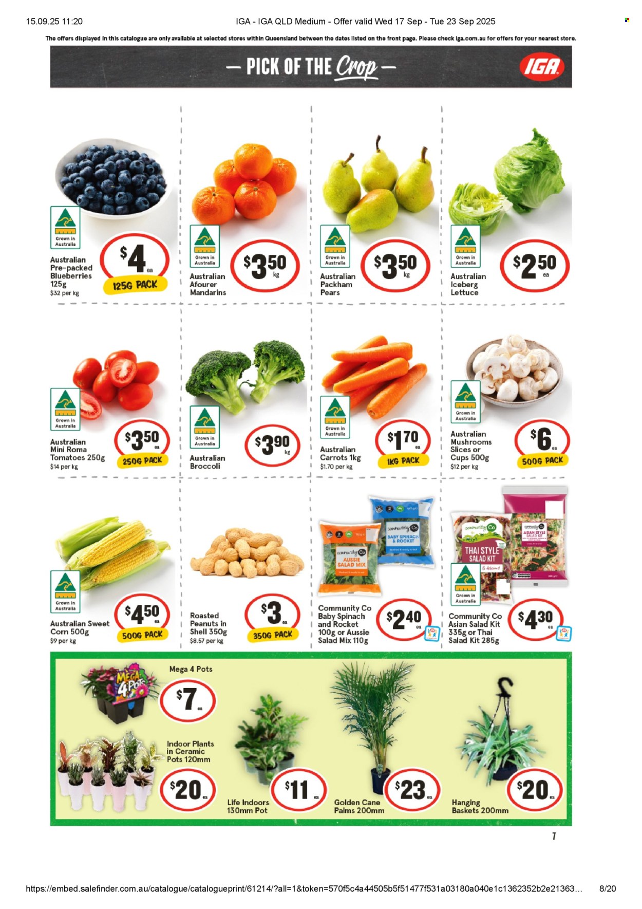 IGA catalogue - 17 Sep 2025 - 23 Sep 2025. Page 4