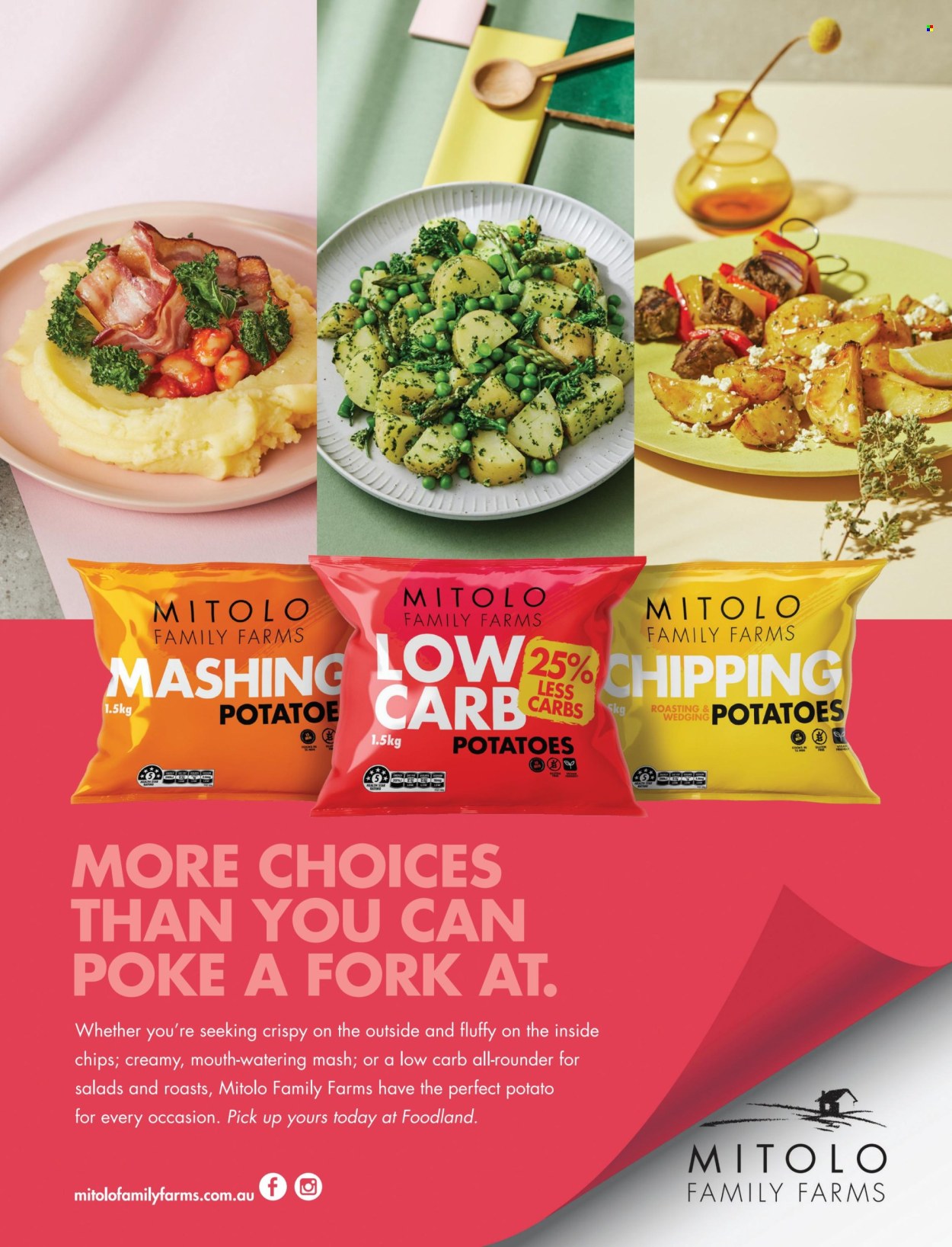 Foodland catalogue - 1 Sep 2025 - 30 Nov 2025. Page 51