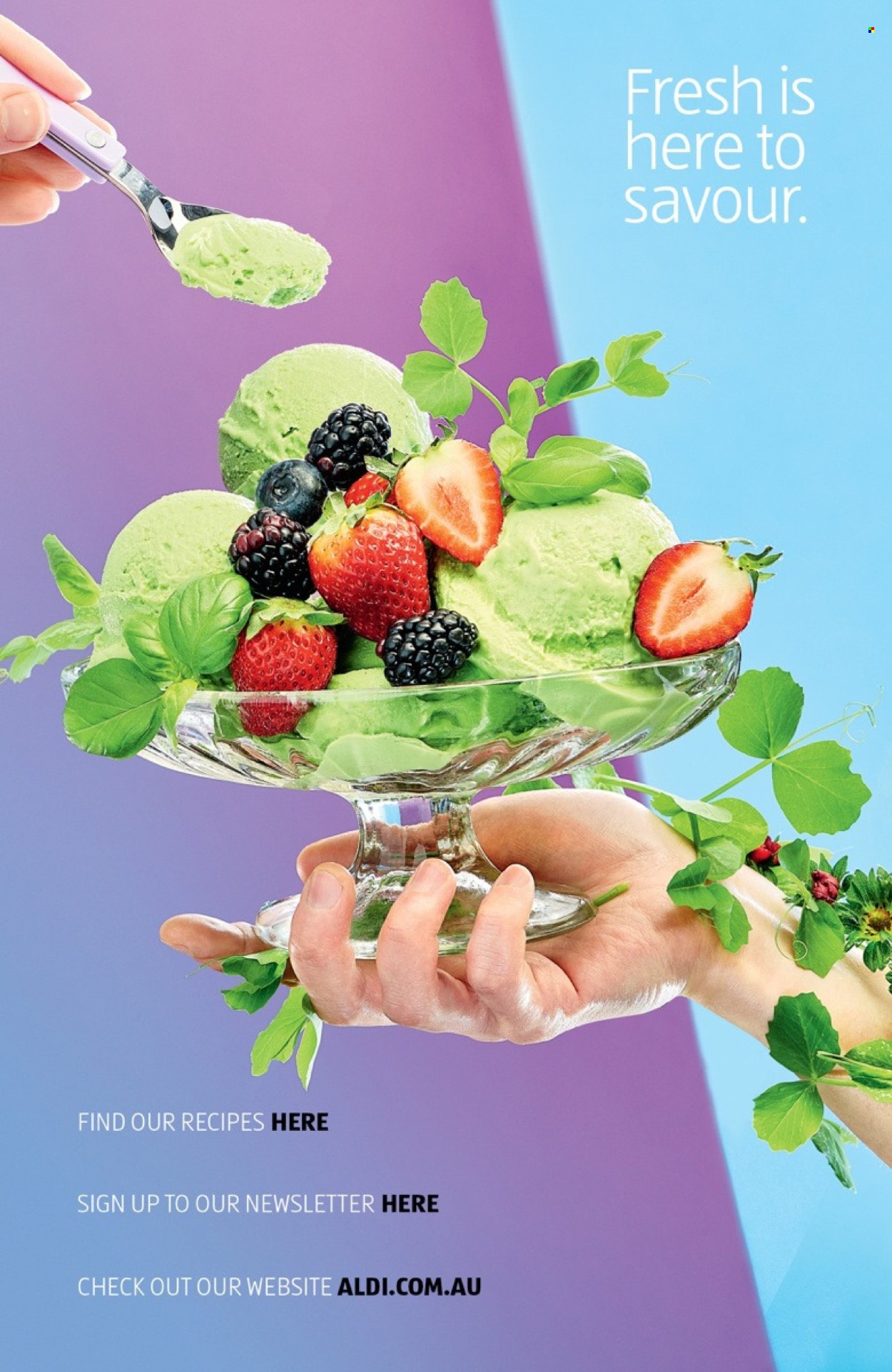 ALDI catalogue - 1 Sep 2025 - 30 Nov 2025. Page 14