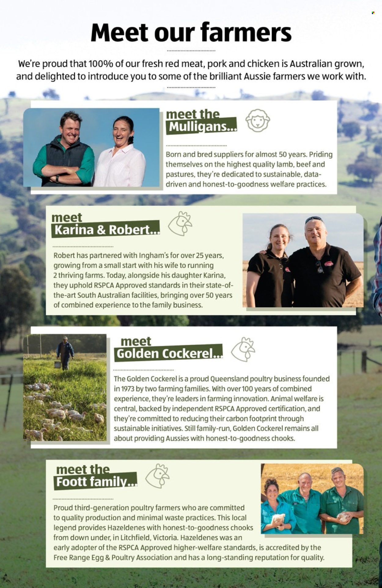 ALDI catalogue. Page 3