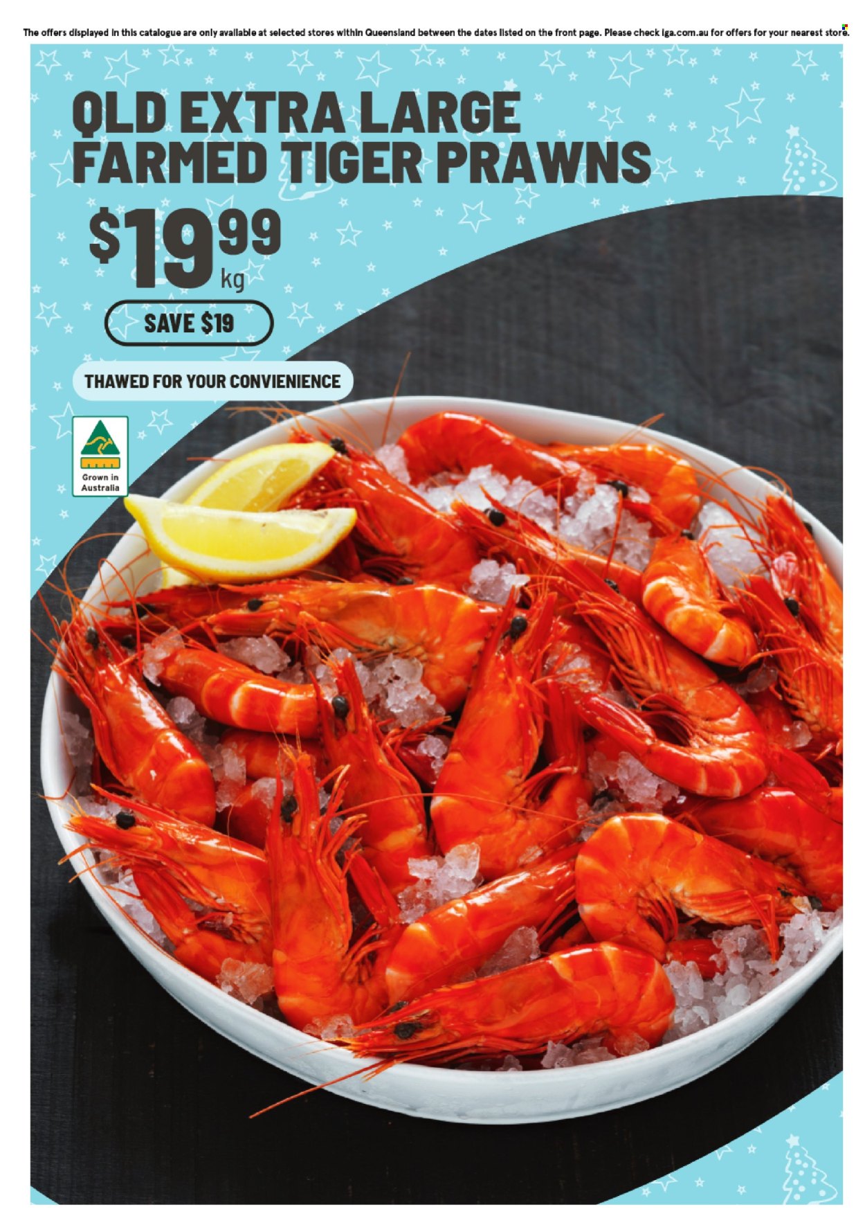 IGA catalogue - 10 Dec 2025 - 16 Dec 2025. Page 10