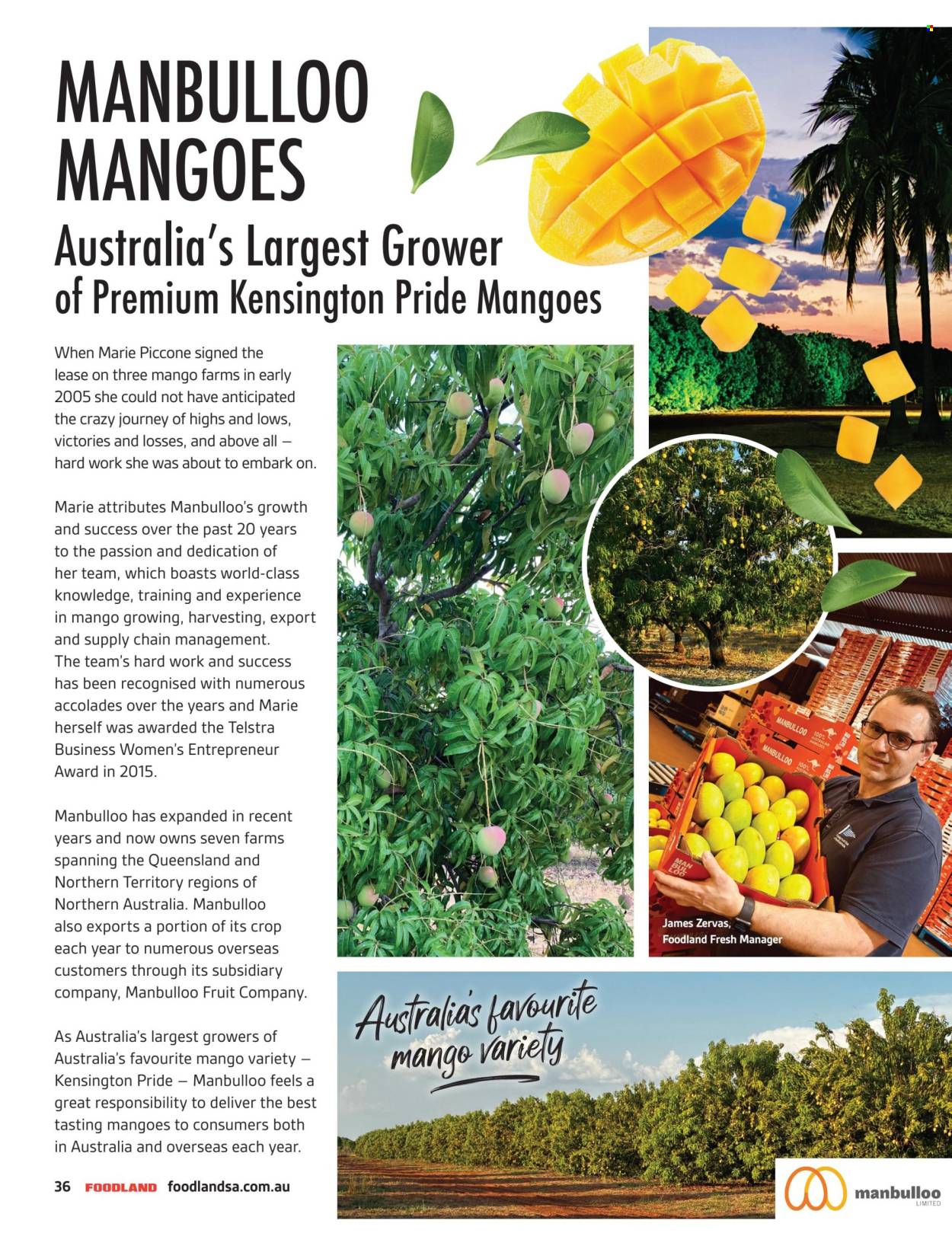 Foodland catalogue - 1 Dec 2025 - 28 Feb 2026. Page 36