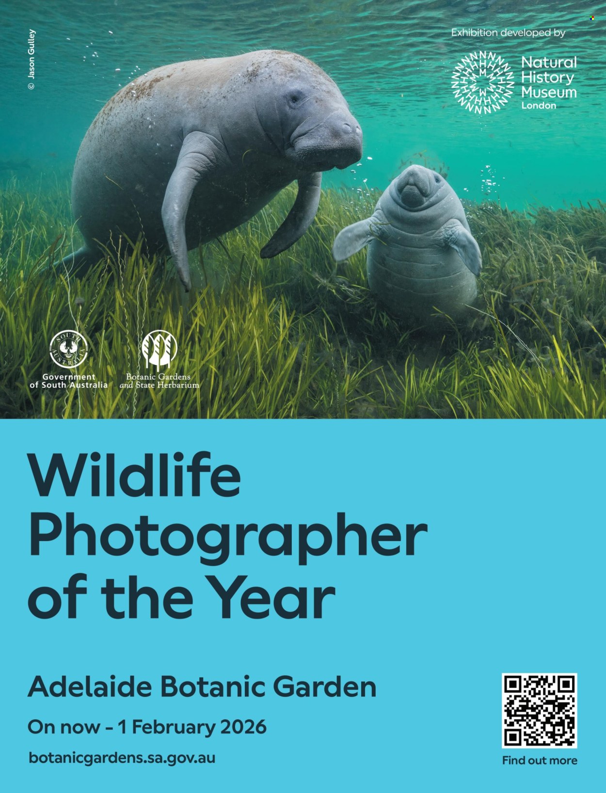 Foodland catalogue - 1 Dec 2025 - 28 Feb 2026. Page 64