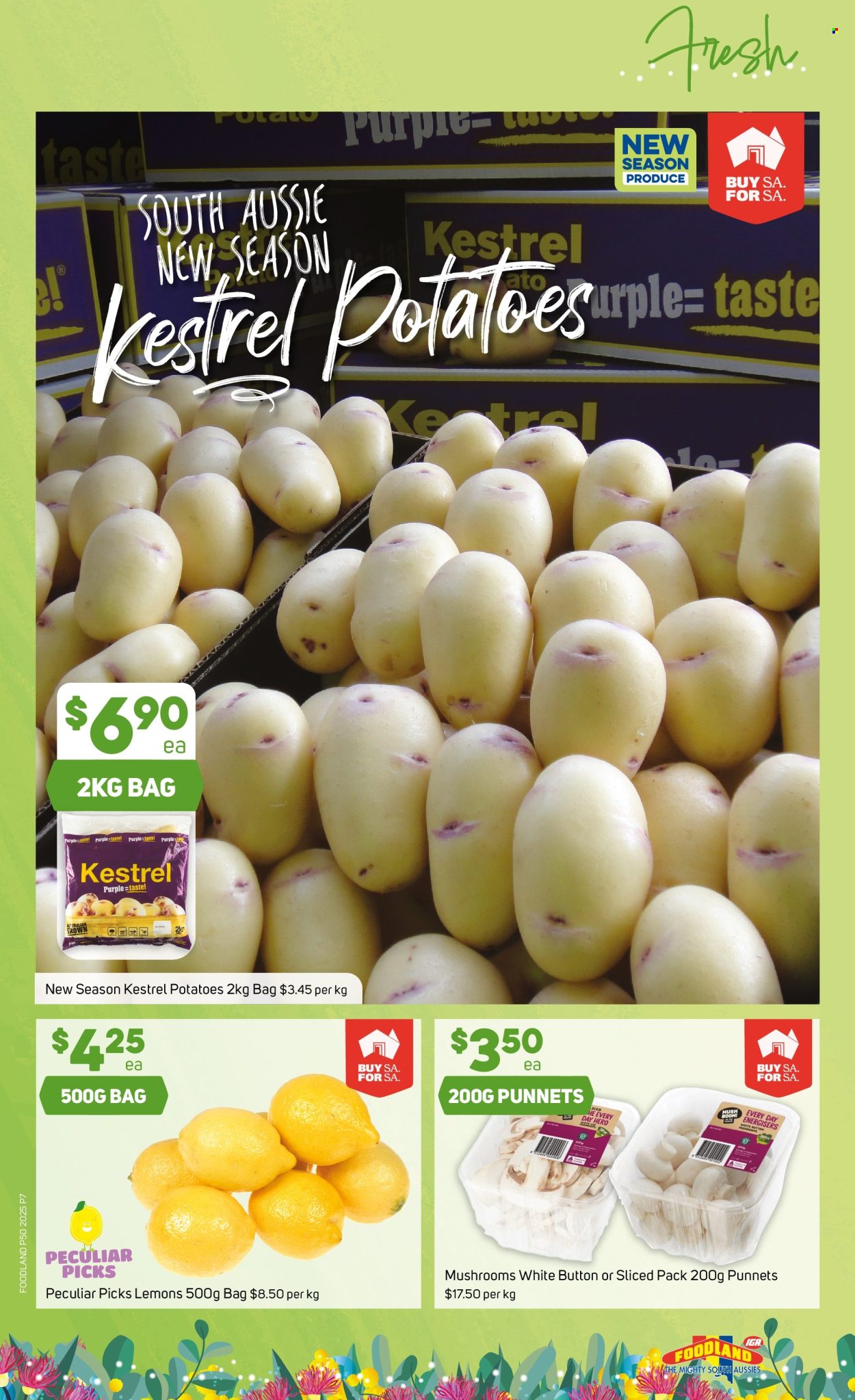 Foodland catalogue - 10 Dec 2025 - 16 Dec 2025. Page 7
