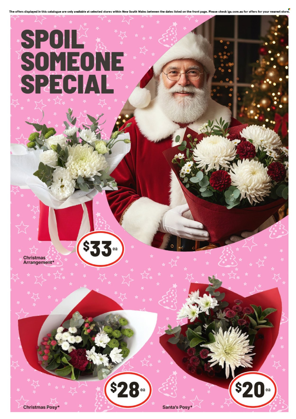 IGA catalogue - 17 Dec 2025 - 23 Dec 2025. Page 11