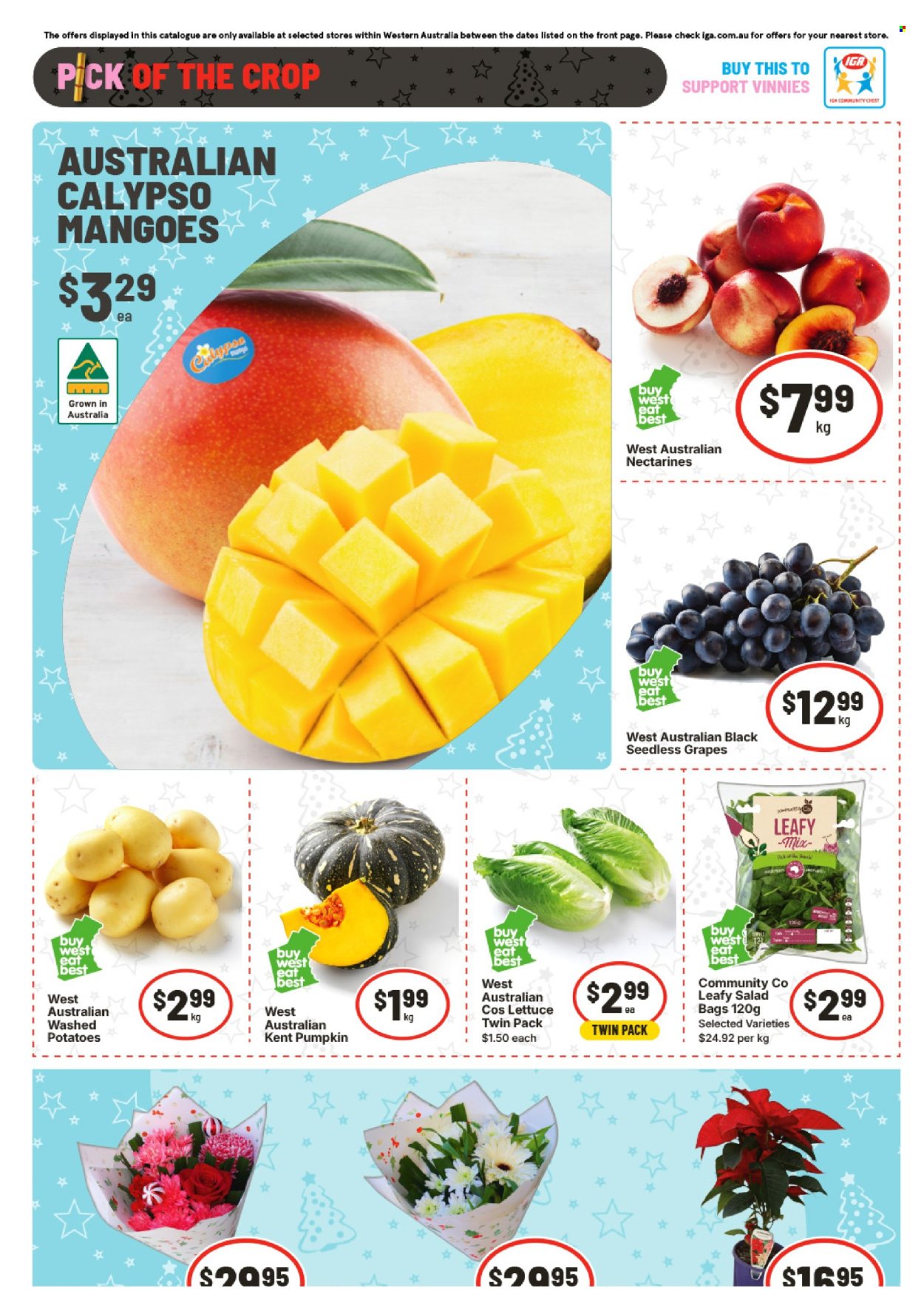 IGA catalogue - 17 Dec 2025 - 23 Dec 2025. Page 11