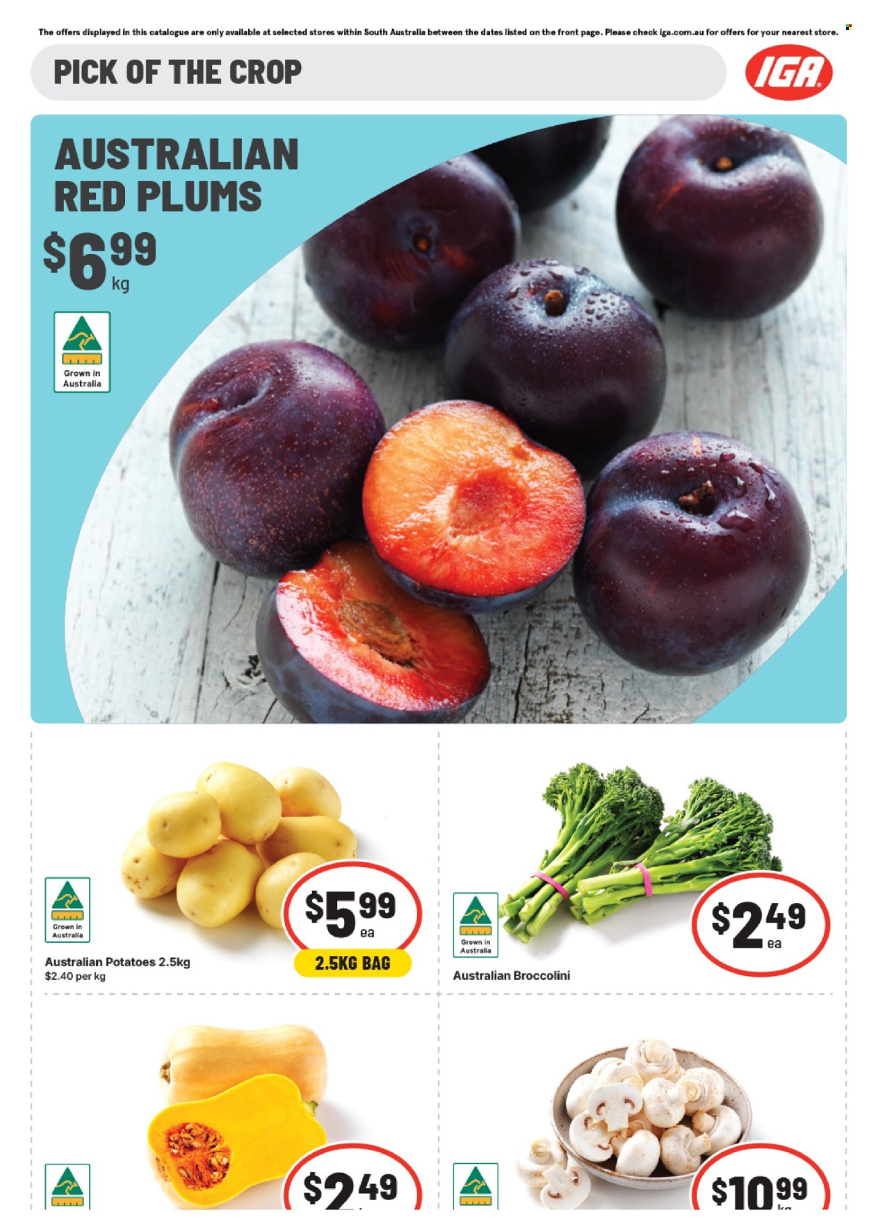 IGA catalogue - 28 Jan 2026 - 3 Feb 2026. Page 5