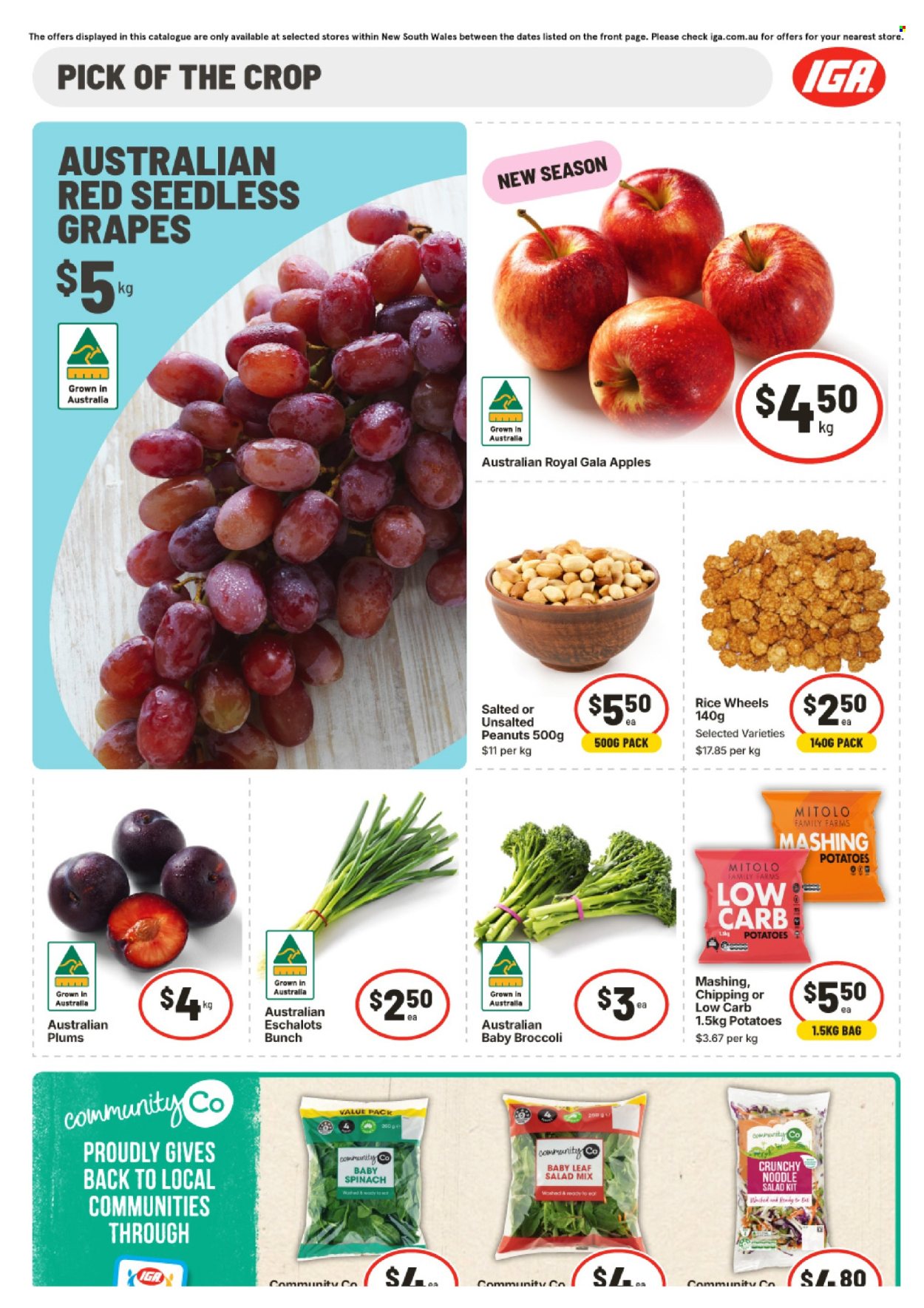 IGA catalogue - 18 Feb 2026 - 24 Feb 2026. Page 5