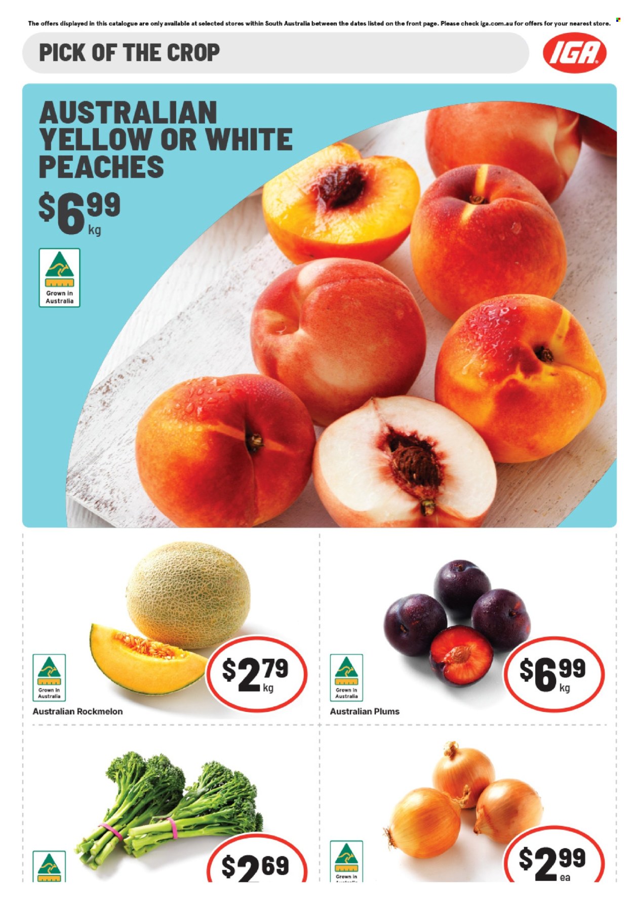 IGA catalogue - 18 Feb 2026 - 24 Feb 2026. Page 5