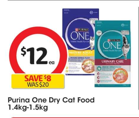Purina One Dry Cat Food