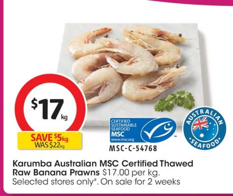 Karumba Australian MSC Certified Thawed Raw Banana Prawns