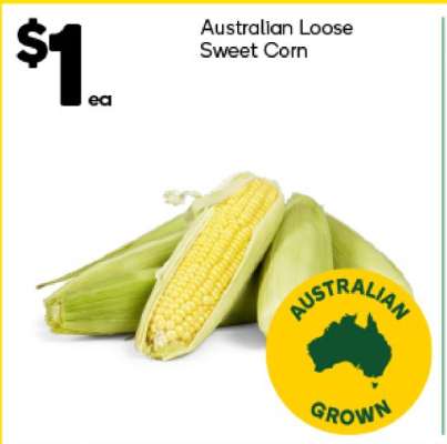 Australian Loose Sweet Corn