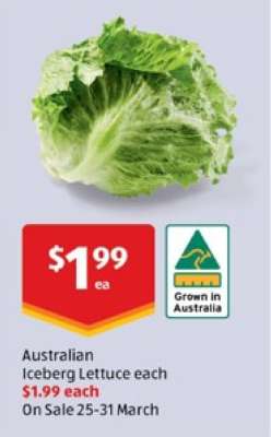 Australian Iceberg Lettuce