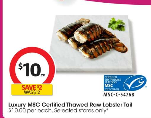 Luxury MSC Certified Thawed Raw Lobster Tail