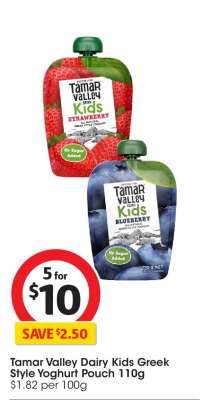 Tamar Valley Dairy Kids Greek Style Yoghurt Pouch 110g