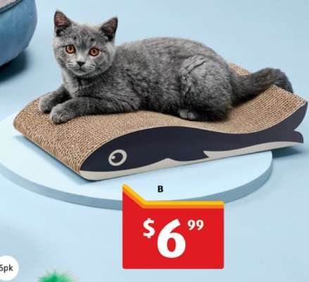 Cat Scratcher