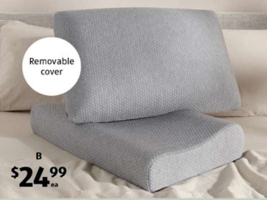 Pillow with Removable Cover