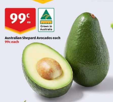 Australian Shepard Avocados