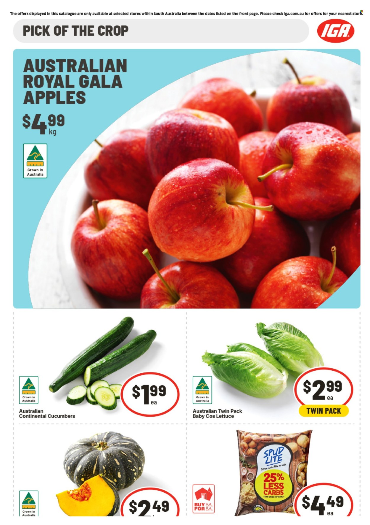IGA catalogue - 15 Apr 2026 - 21 Apr 2026. Page 6