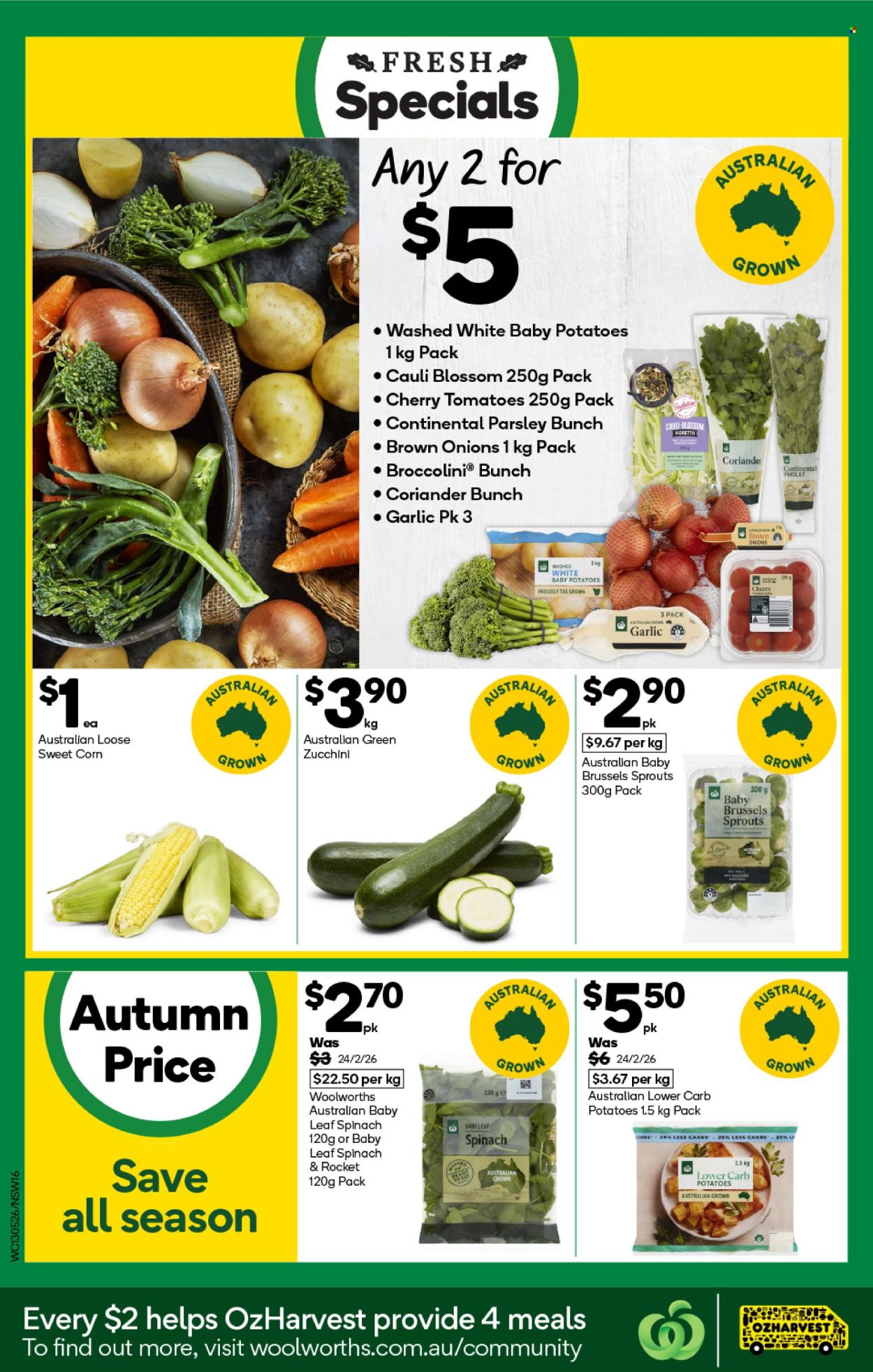 Woolworths catalogue - 13 May 2026 - 19 May 2026. Page 16