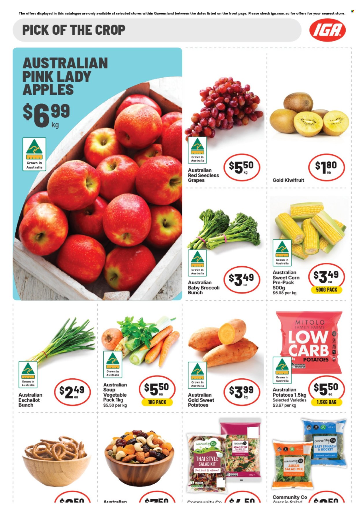 IGA catalogue - 13 May 2026 - 19 May 2026. Page 10
