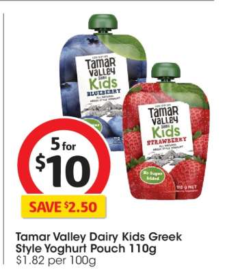 Tamar Valley Dairy Kids Greek Style Yoghurt Pouch 110g