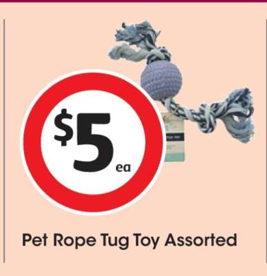 Pet Rope Tug Toy Assorted