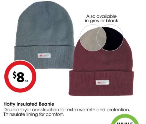 Hotty Insulated Beanie