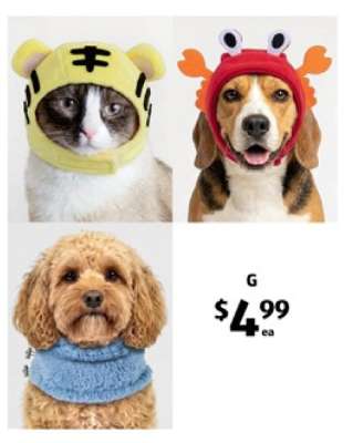 Pet Costumes