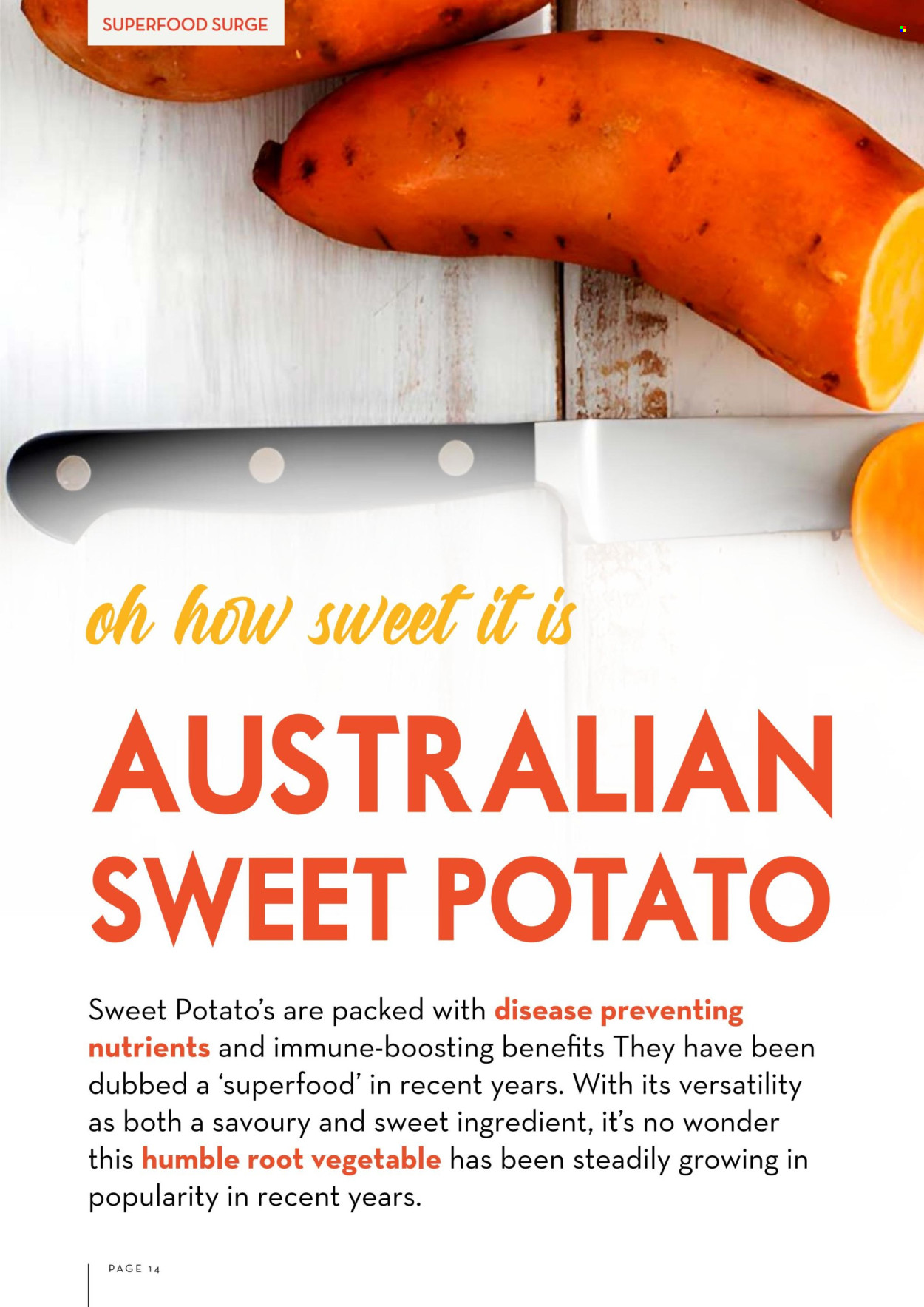 IGA catalogue. Page 14