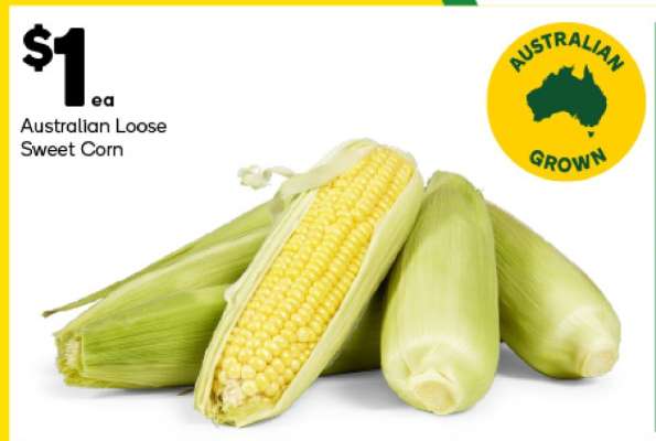 Australian Loose Sweet Corn