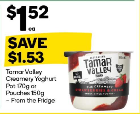 Tamar Valley Creamery Yoghurt Pot 170g or Pouches 150g