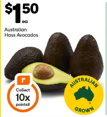 Australian Hass Avocados