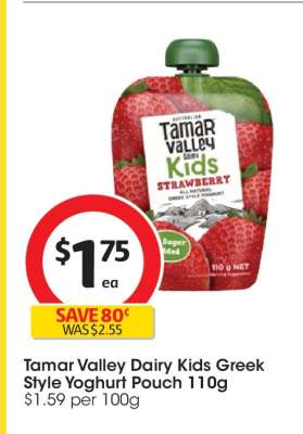 Tamar Valley Dairy Kids Greek Style Yoghurt Pouch 110g