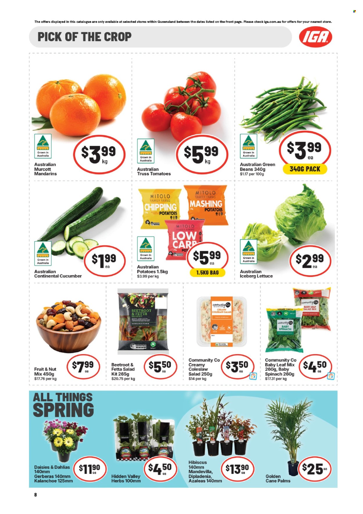 IGA catalogue - 26 Aug 2026 - 1 Sep 2026. Page 9