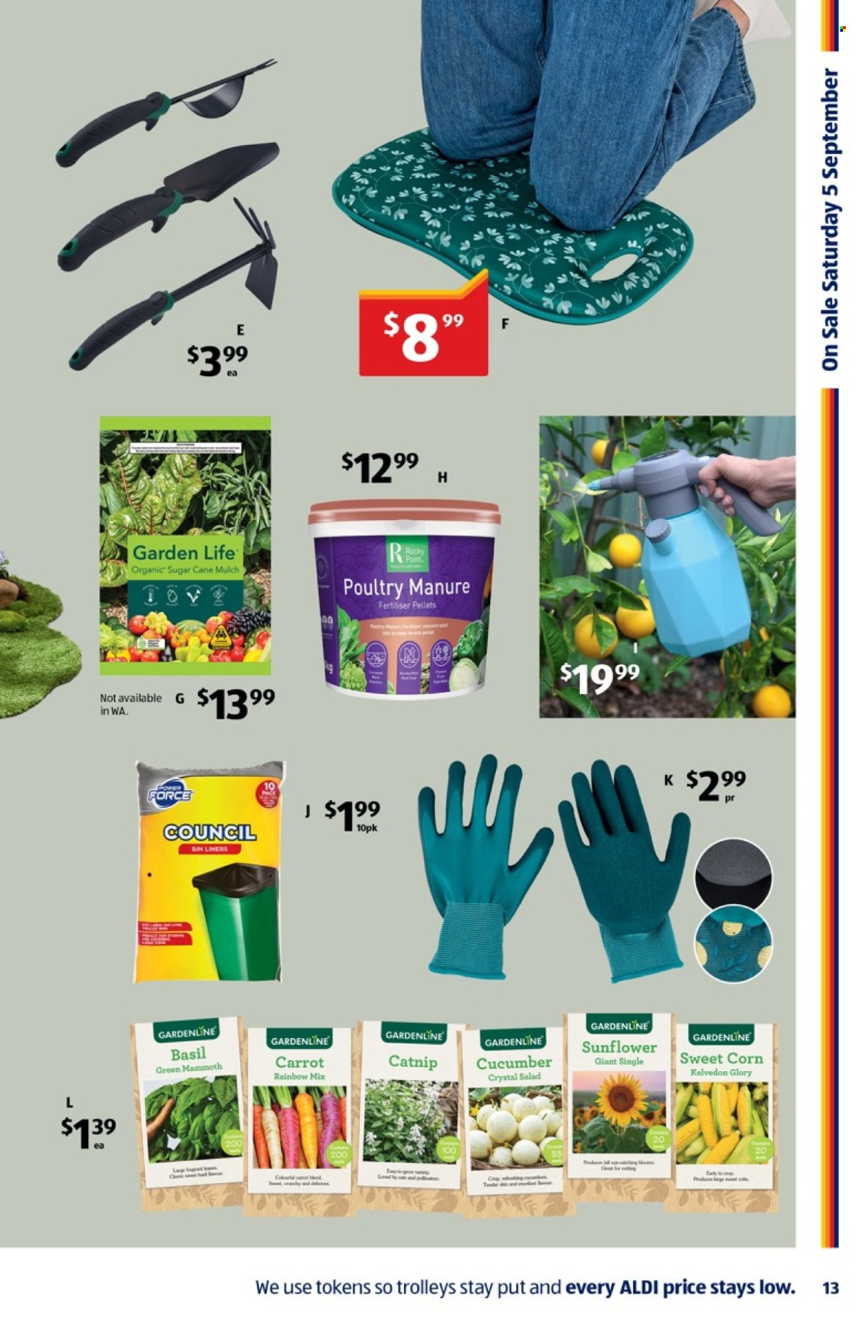 ALDI catalogue - 2 Sep 2026 - 8 Sep 2026. Page 13