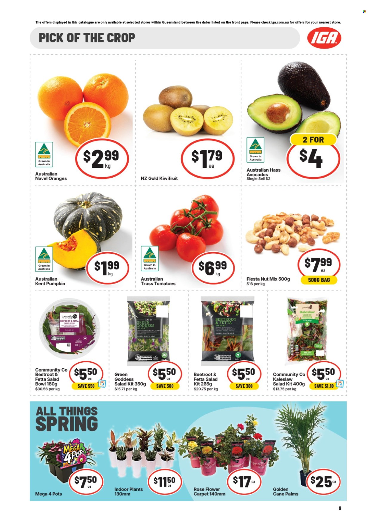 IGA catalogue - 16 Sep 2026 - 22 Sep 2026. Page 10