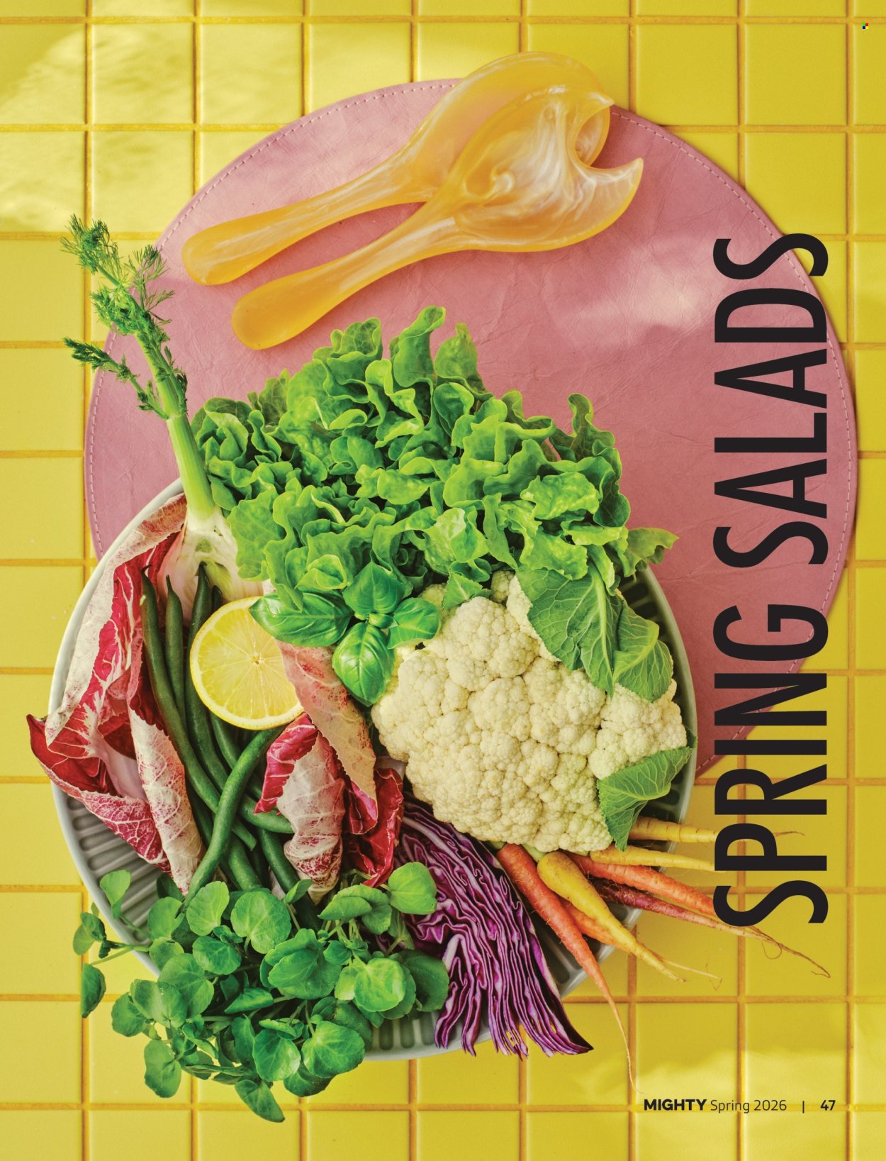 Foodland catalogue - 1 Sep 2026 - 30 Nov 2026. Page 47
