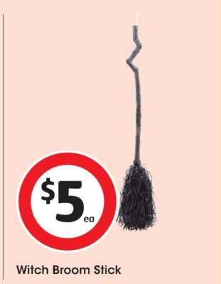 Witch Broom Stick