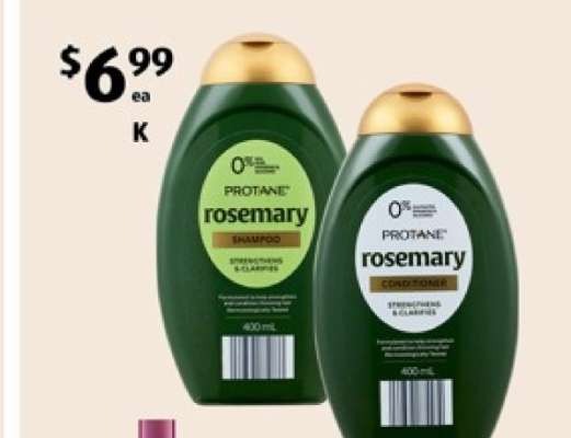 Protane Rosemary Shampoo/Conditioner