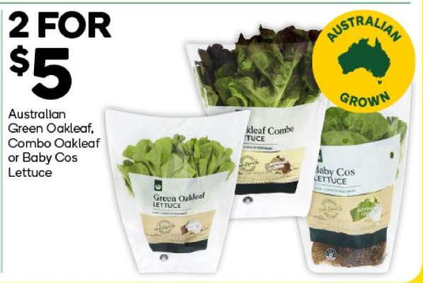 Australian Green Oakleaf, Combo Oakleaf or Baby Cos Lettuce