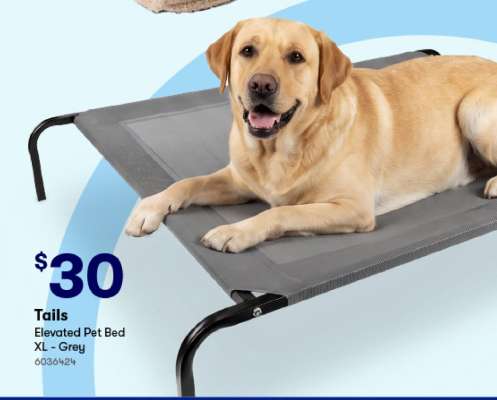 Tails Elevated Pet Bed