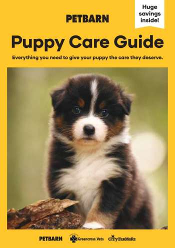 Petbarn Catalogue Weekly Specials Stores Near Me Opening